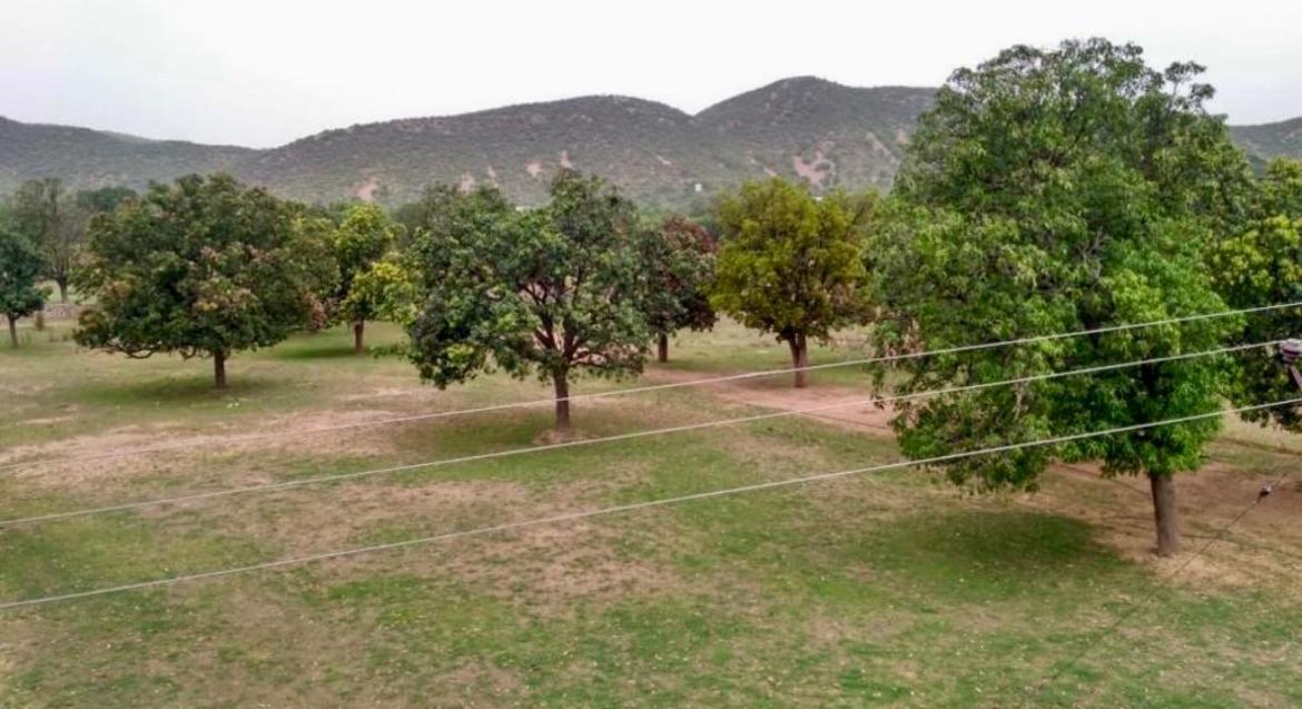 Vatika Farm * Jaipur