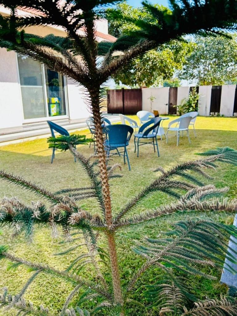 Fox N Flute - The Urban Village Villa Jaipur