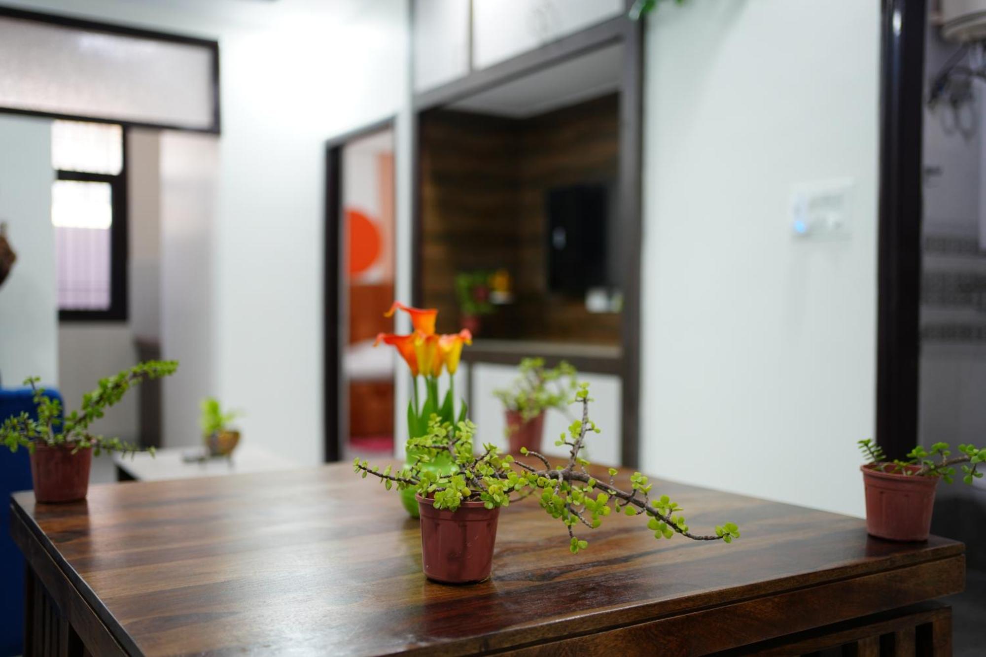 Tranquil In A Beautiful Setting With Games Apartment Jaipur