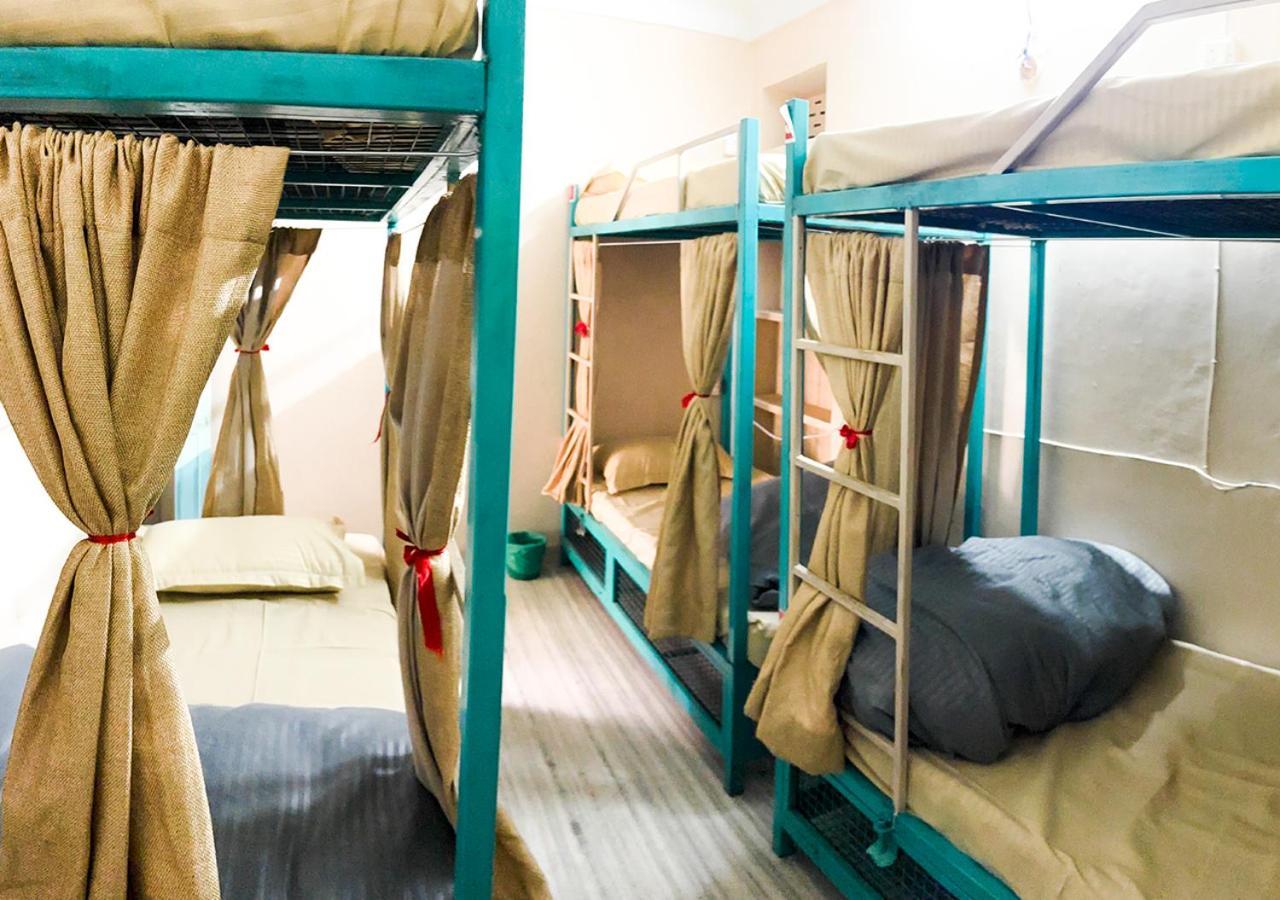 Jungle By Sturmfrei Hostel