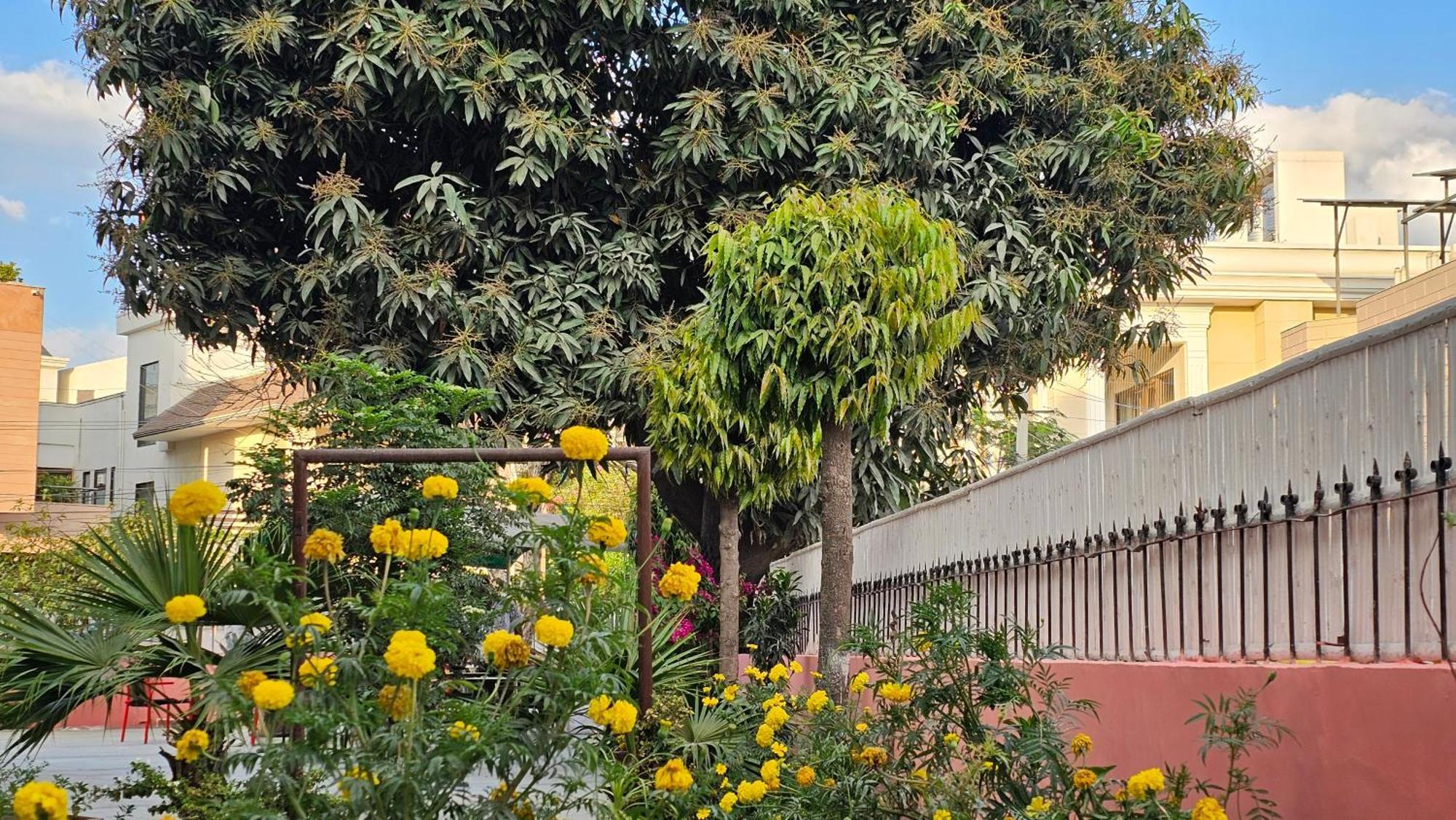 Namli Haus, Hotel 4*