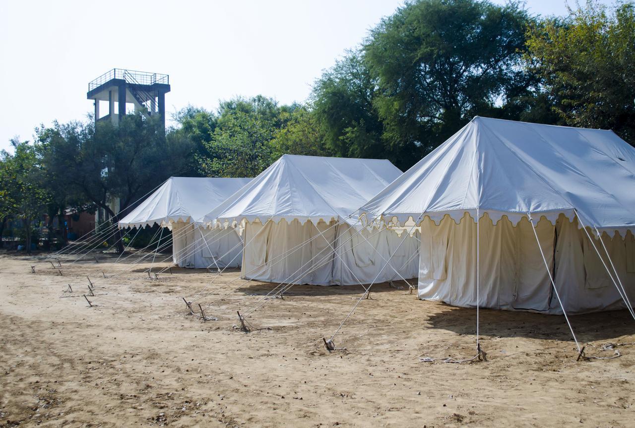 Resort Kanota Camp Jaipur