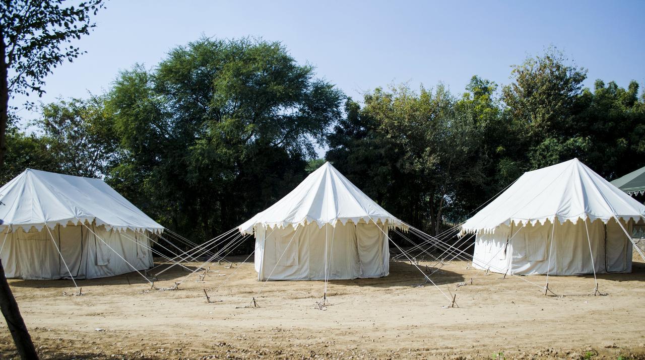 Kanota Camp * Jaipur