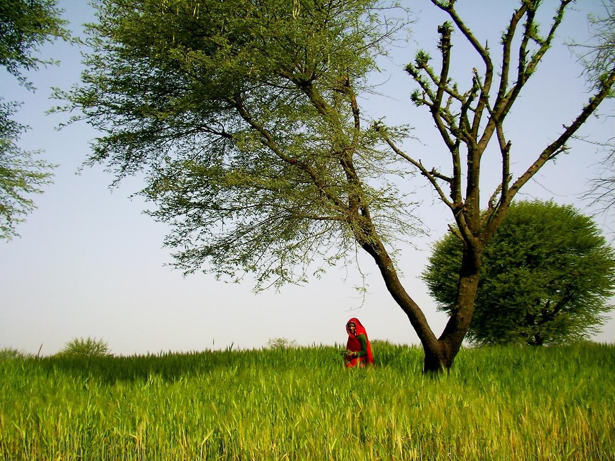 Sirsi Haveli 3*