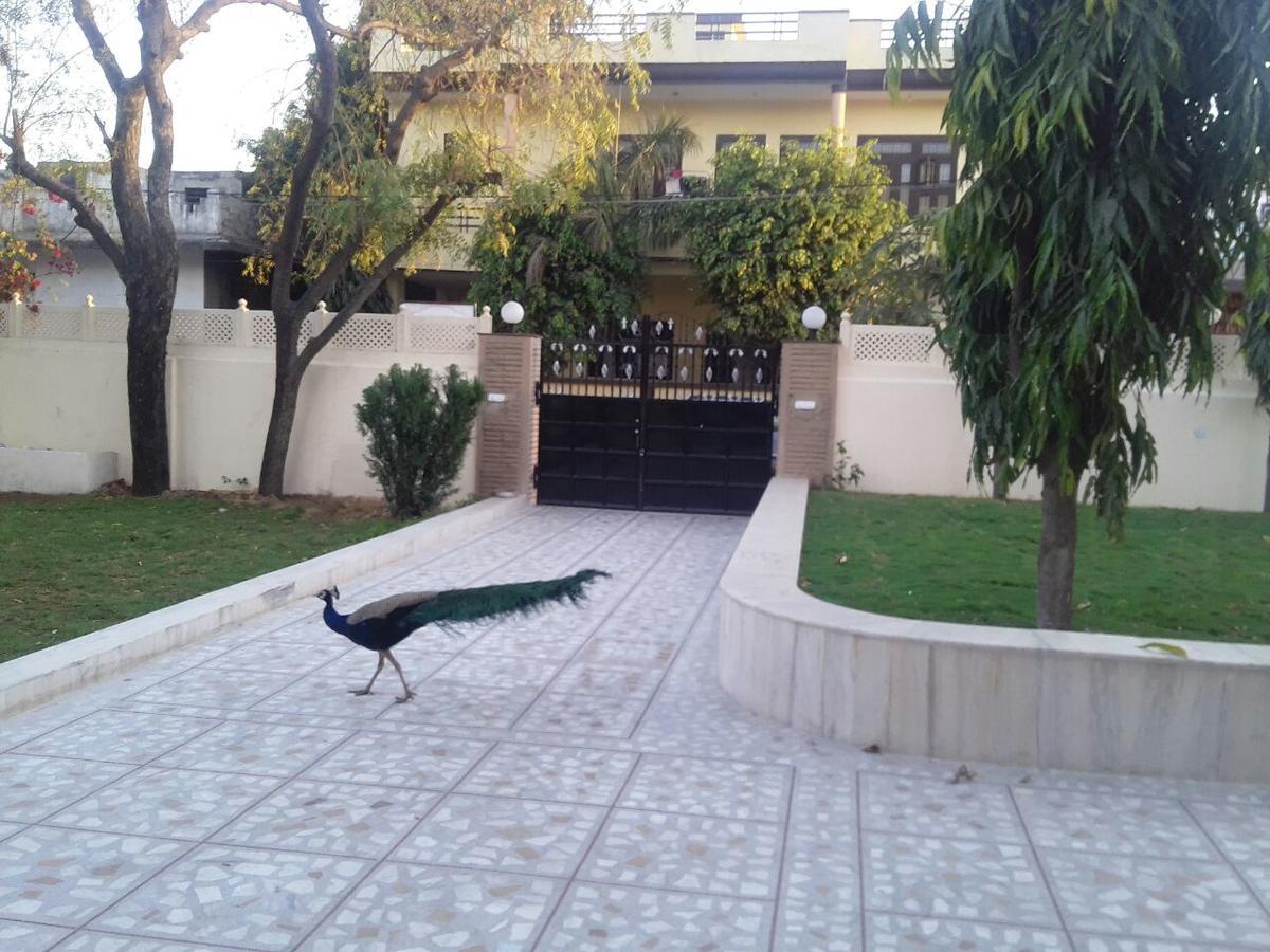 Nandini's Guest house 5*