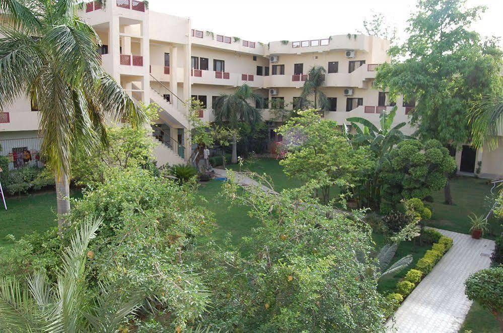 Palms 2*