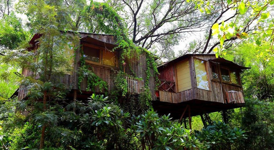 The Tree House Resort Jaipur
