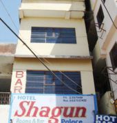 Shagun Palace Hotel *