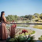 The Nest Luxury Resort