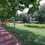 Madhav\'S Mallet