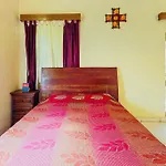 Zo Cosy Homes Bani Park