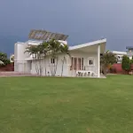 Palm Familia By Palm Leisure
