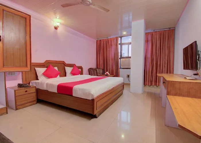 Oyo 16002 Hotel Shaan