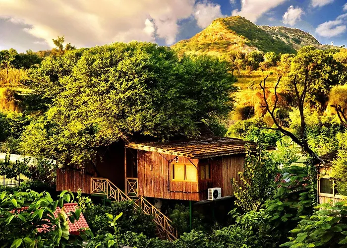 The Tree House Resort