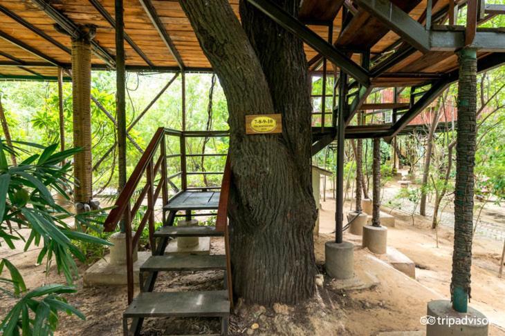 The Tree House Resort Jaipur