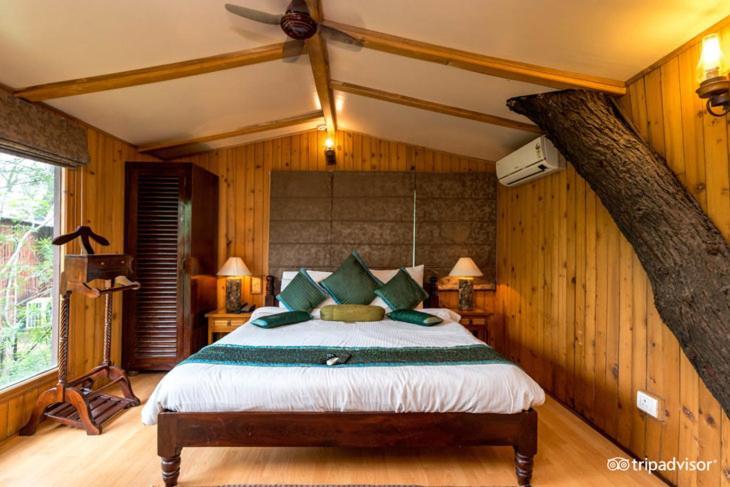 The Tree House 4*