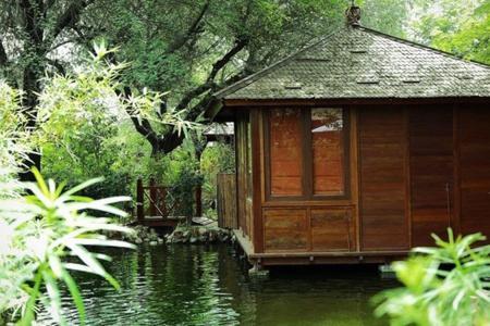 The Tree House Jaipur