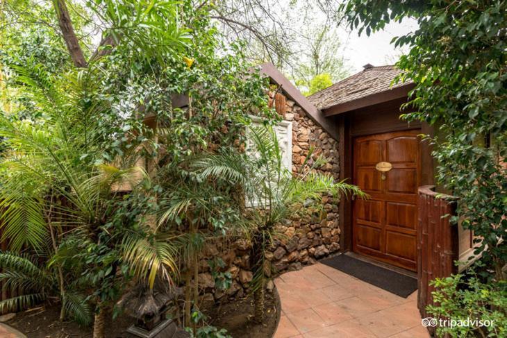 Resort The Tree House 4*