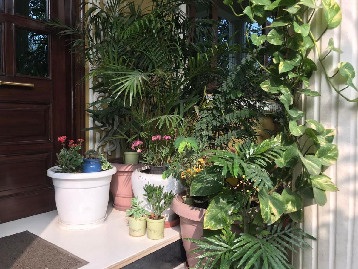 Jeenmount Heritage Boutique Jaipur