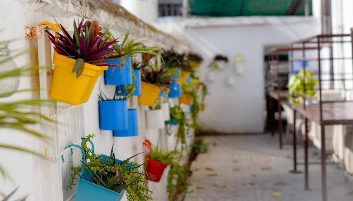 Bed & Breakfast Bhola Bhawan 2*