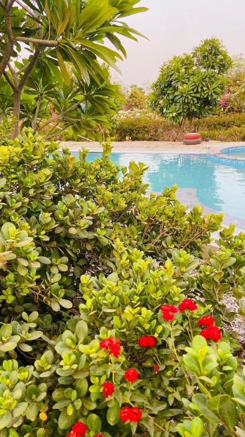Farm stay Shakuntlam Farms 4bhk *