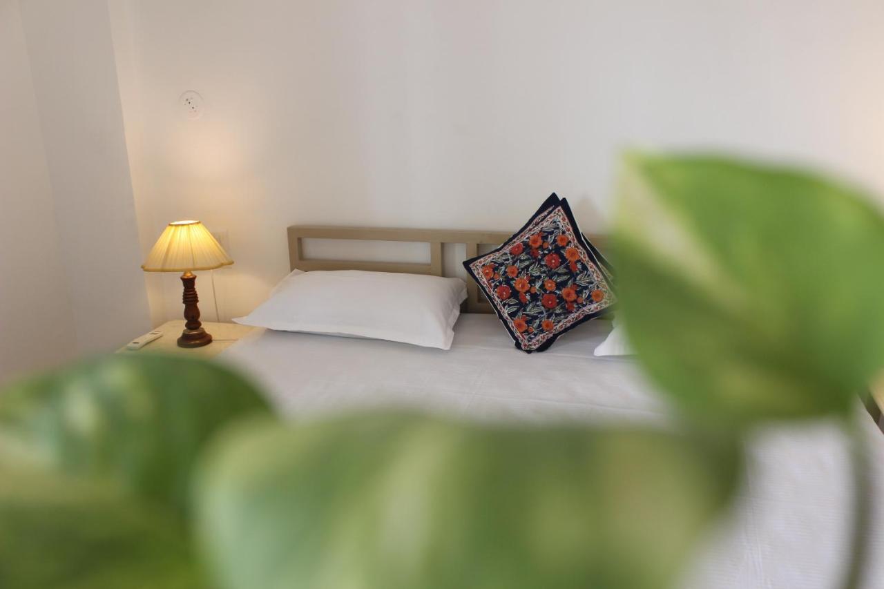 Guest house Doongri House Jaipur