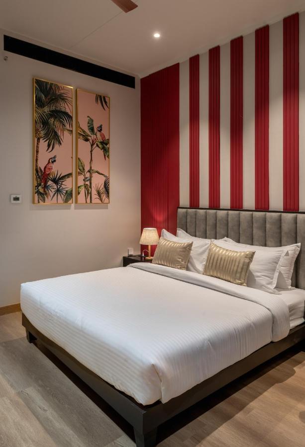 The Nest Luxury 4*