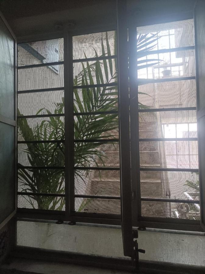 Cocoon Guest house *