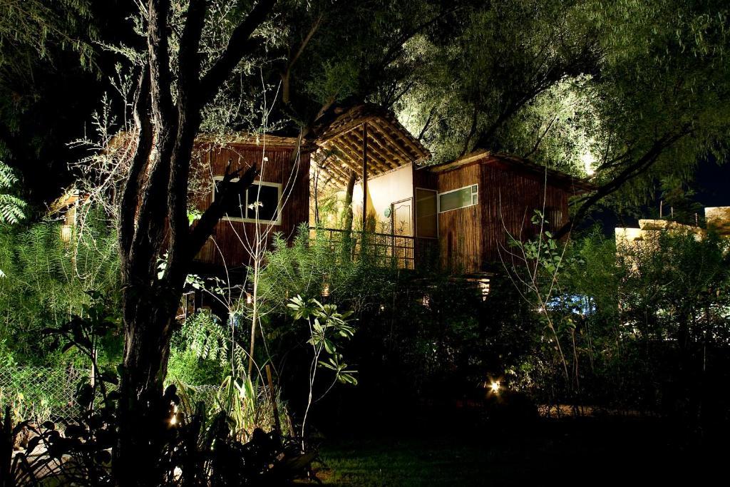 The Tree House Resort