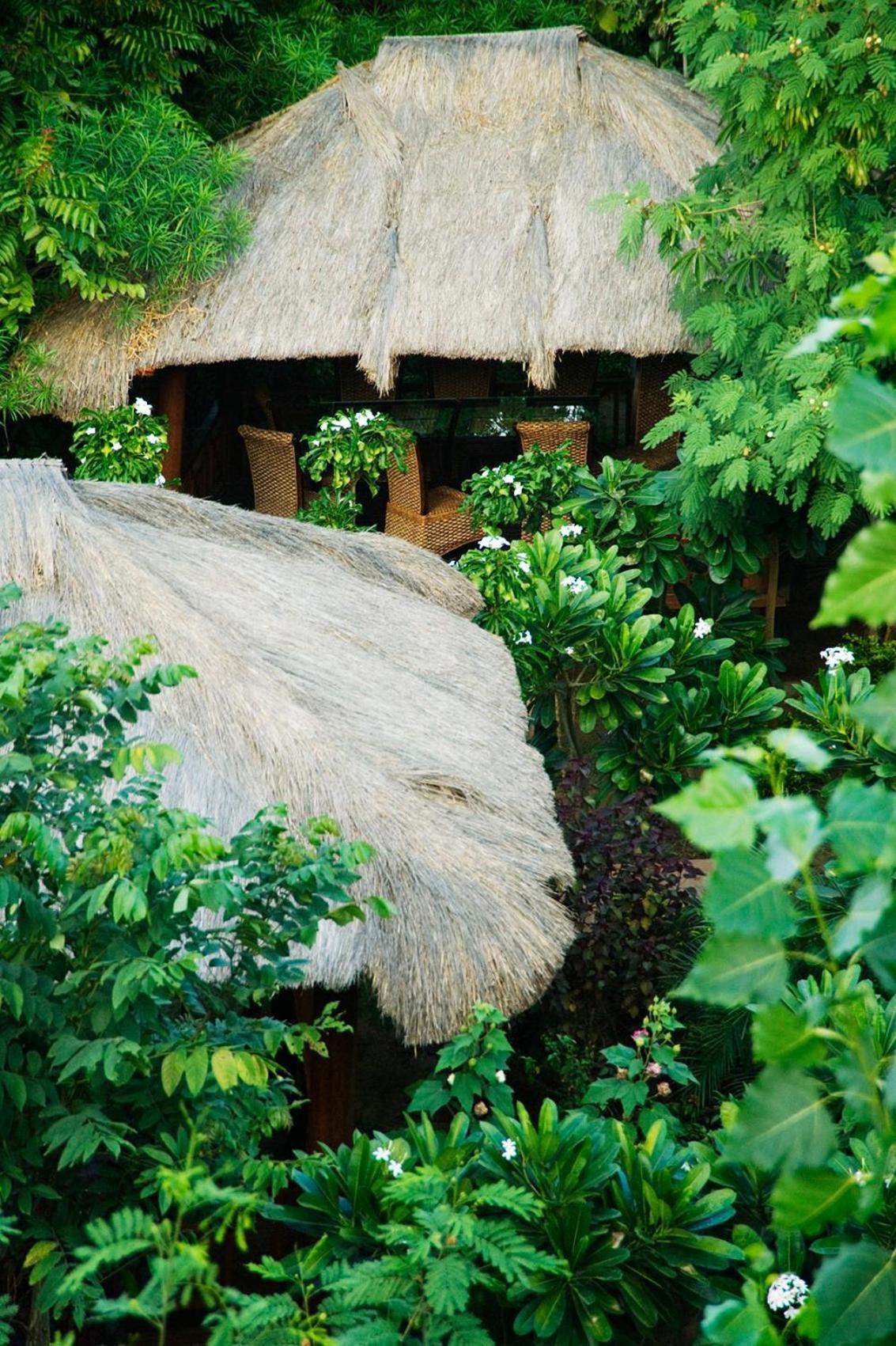 Resort The Tree House