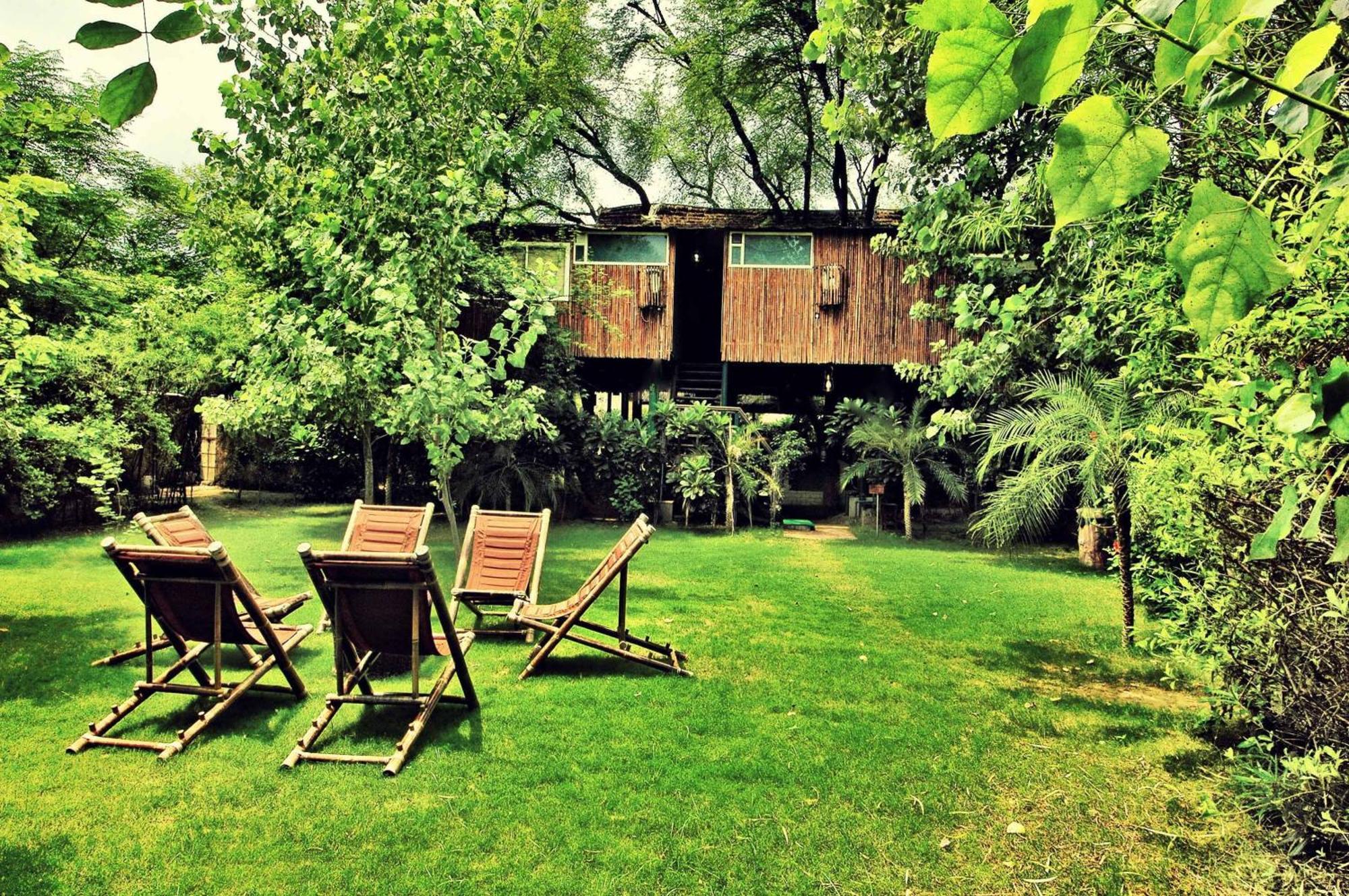 Resort The Tree House Jaipur