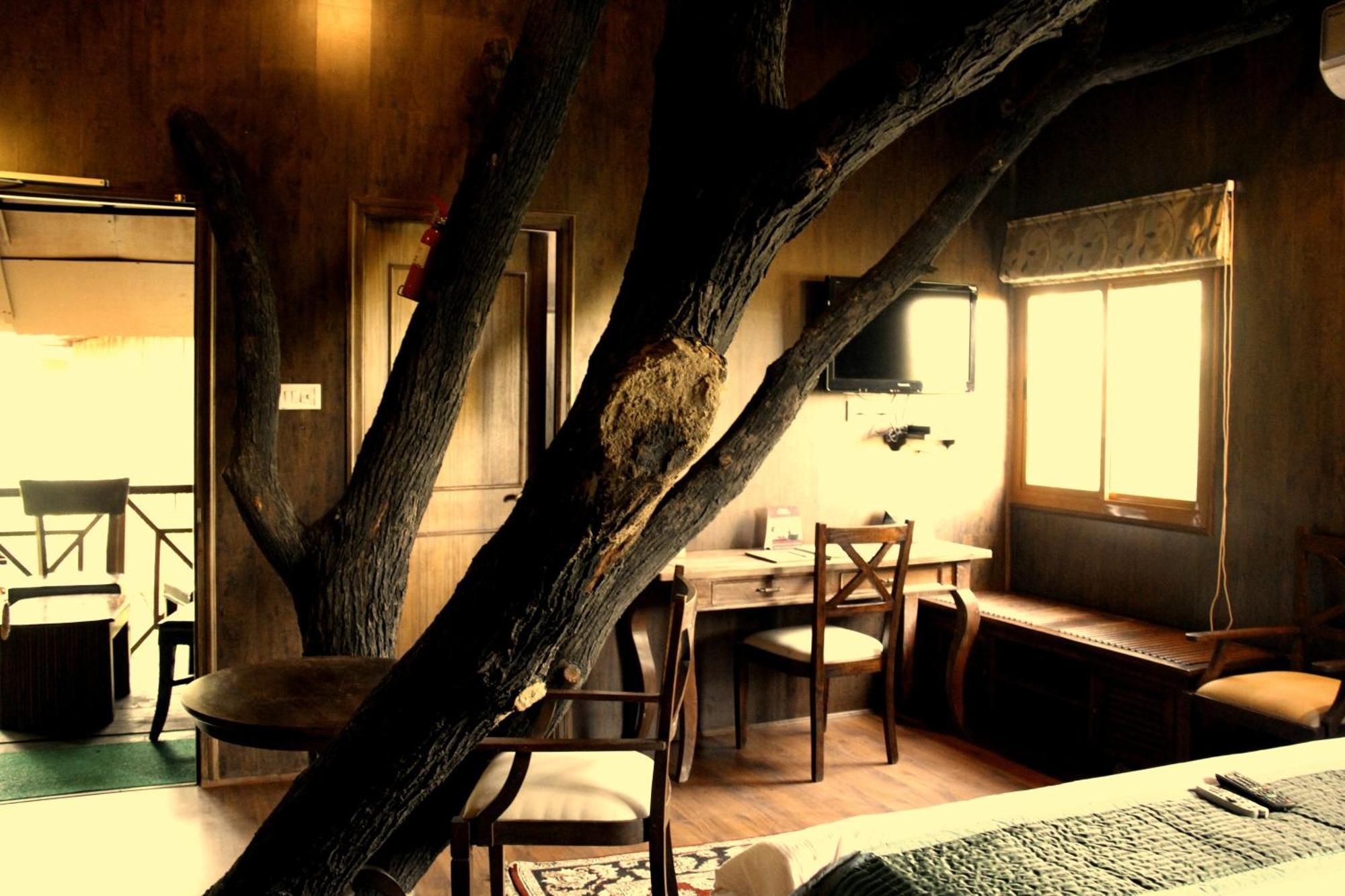 The Tree House 4* Jaipur