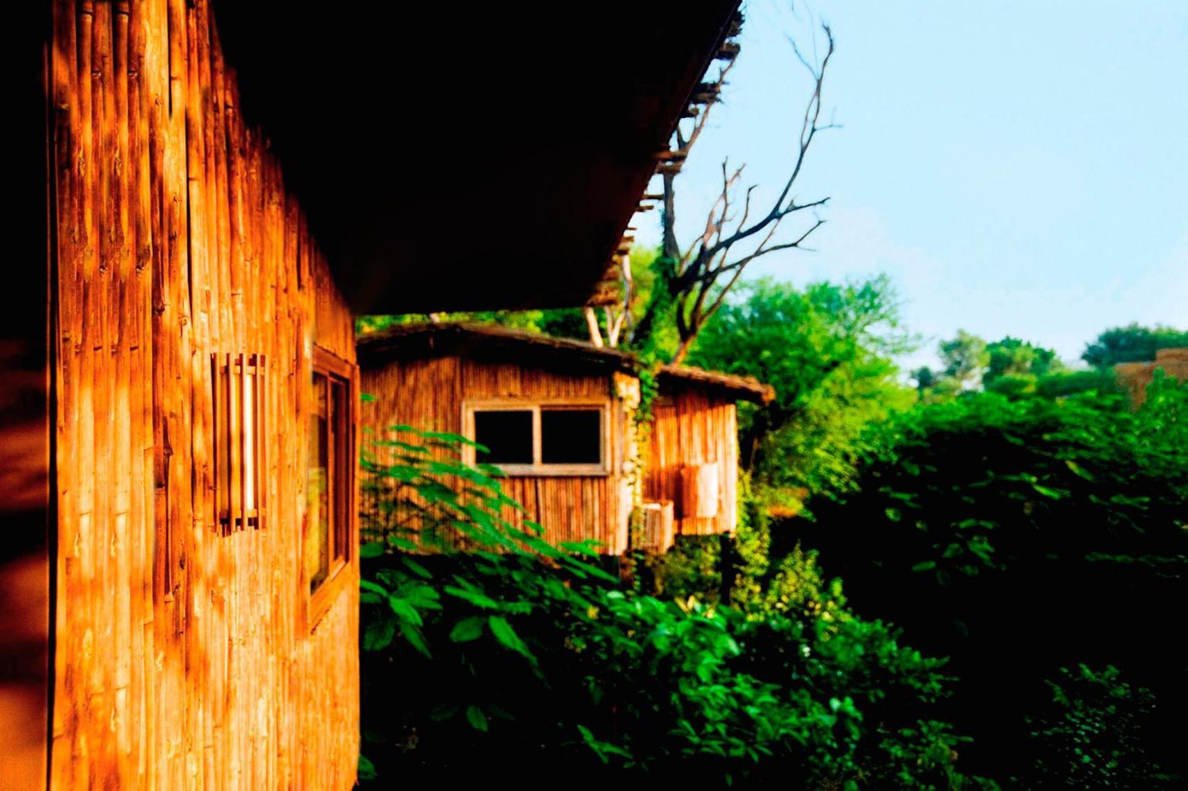 Resort The Tree House