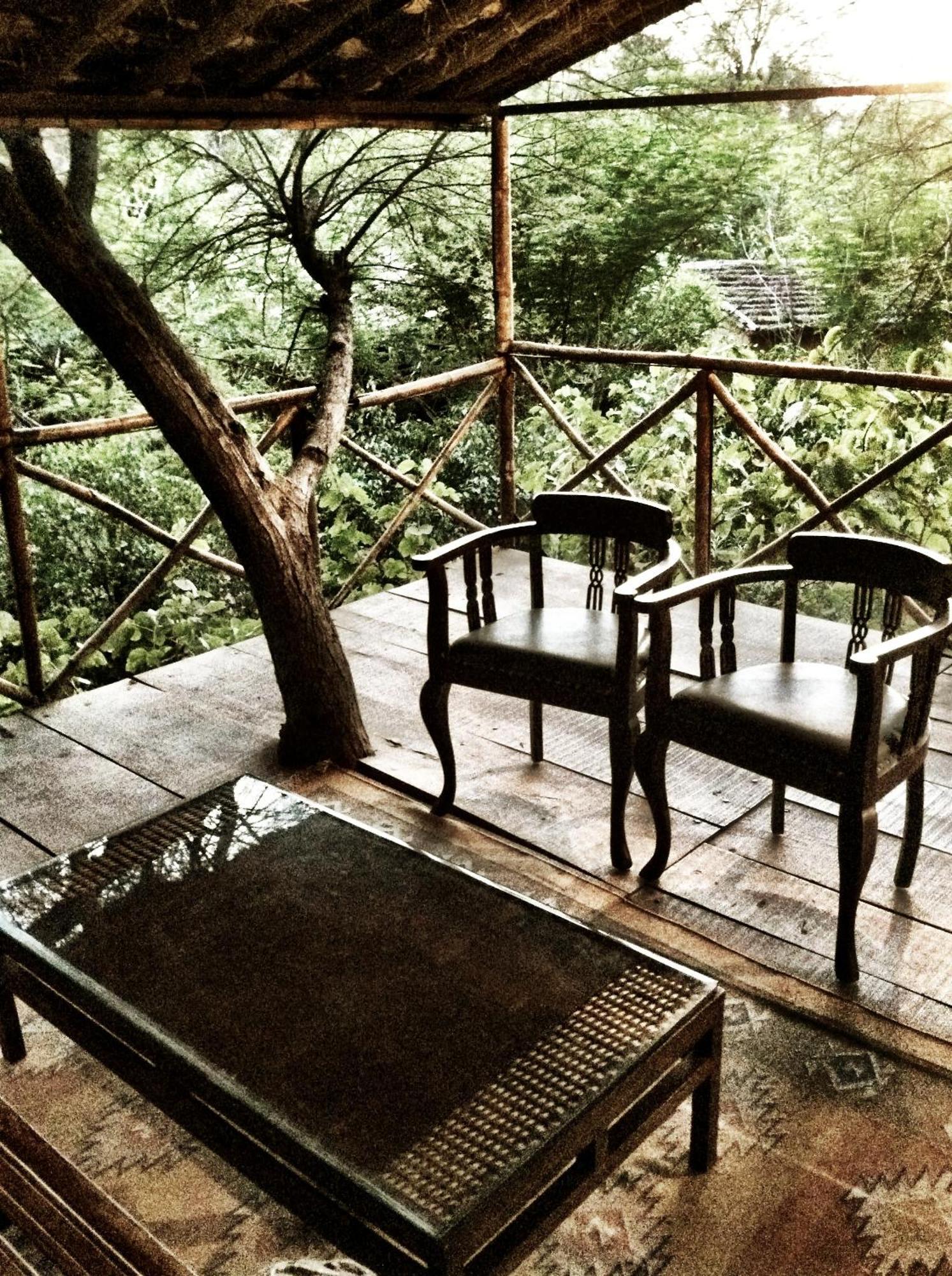 The Tree House