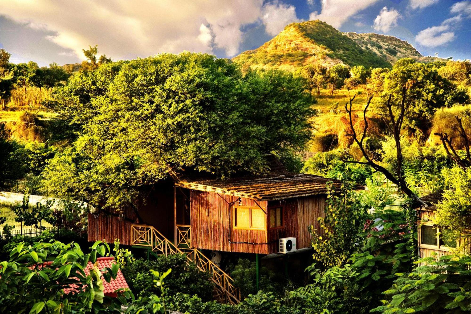 Resort The Tree House