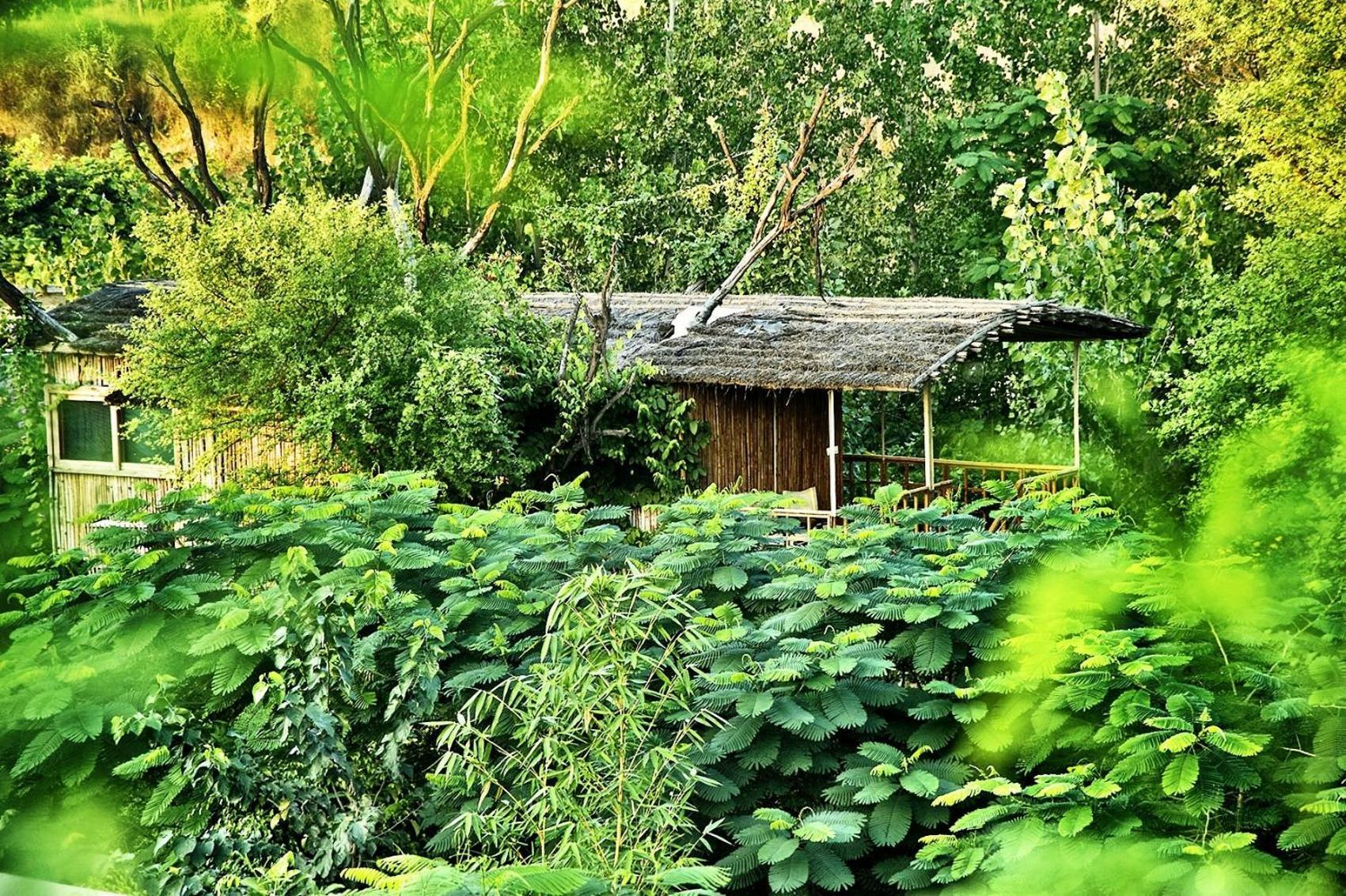 Resort The Tree House 4*