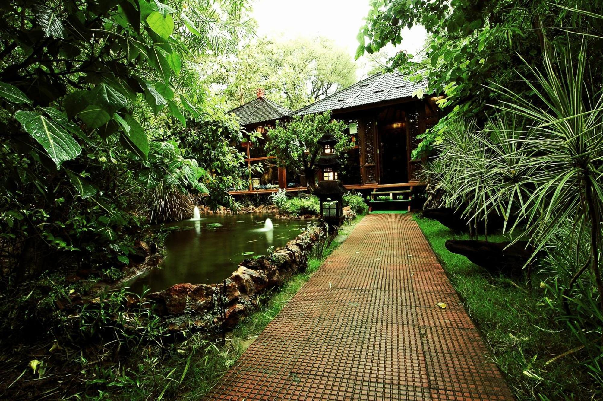The Tree House