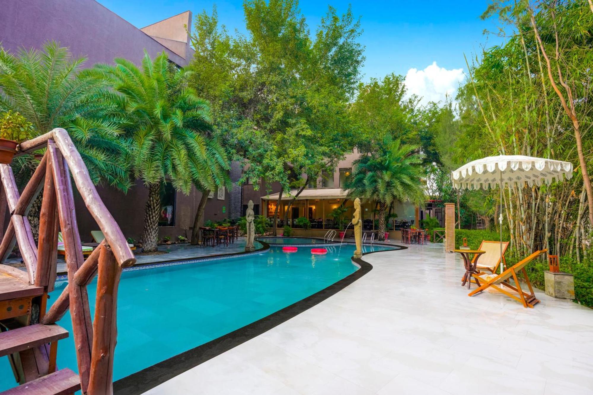 Resort The Tree House