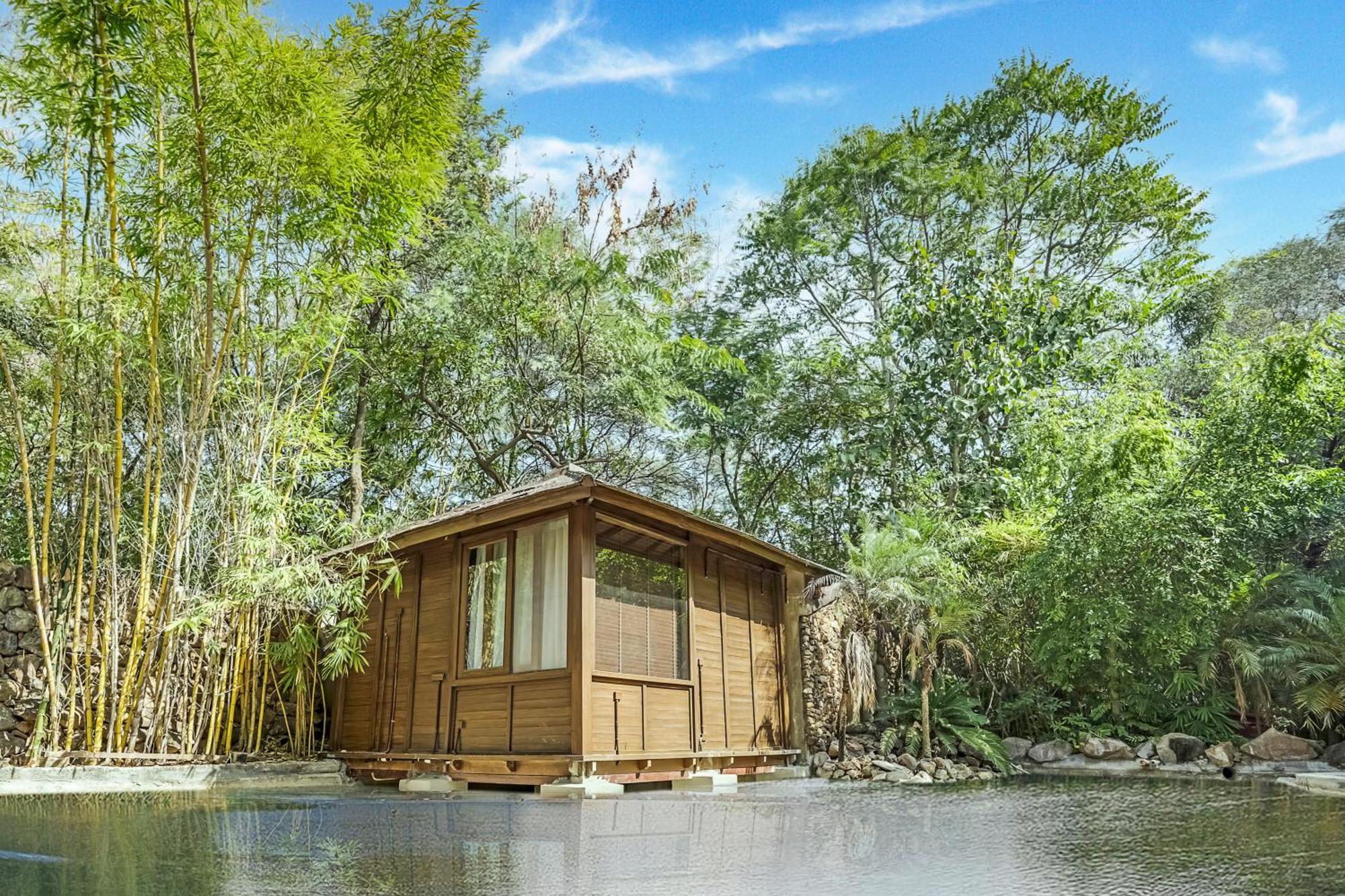 Resort The Tree House 4*