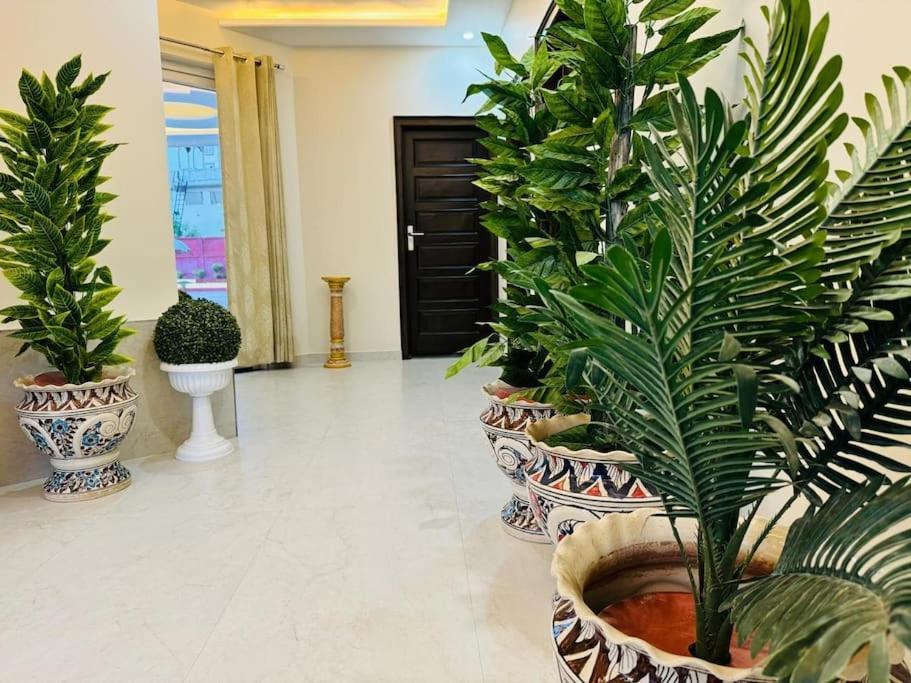 Palm Familia By Palm Leisure Holiday home