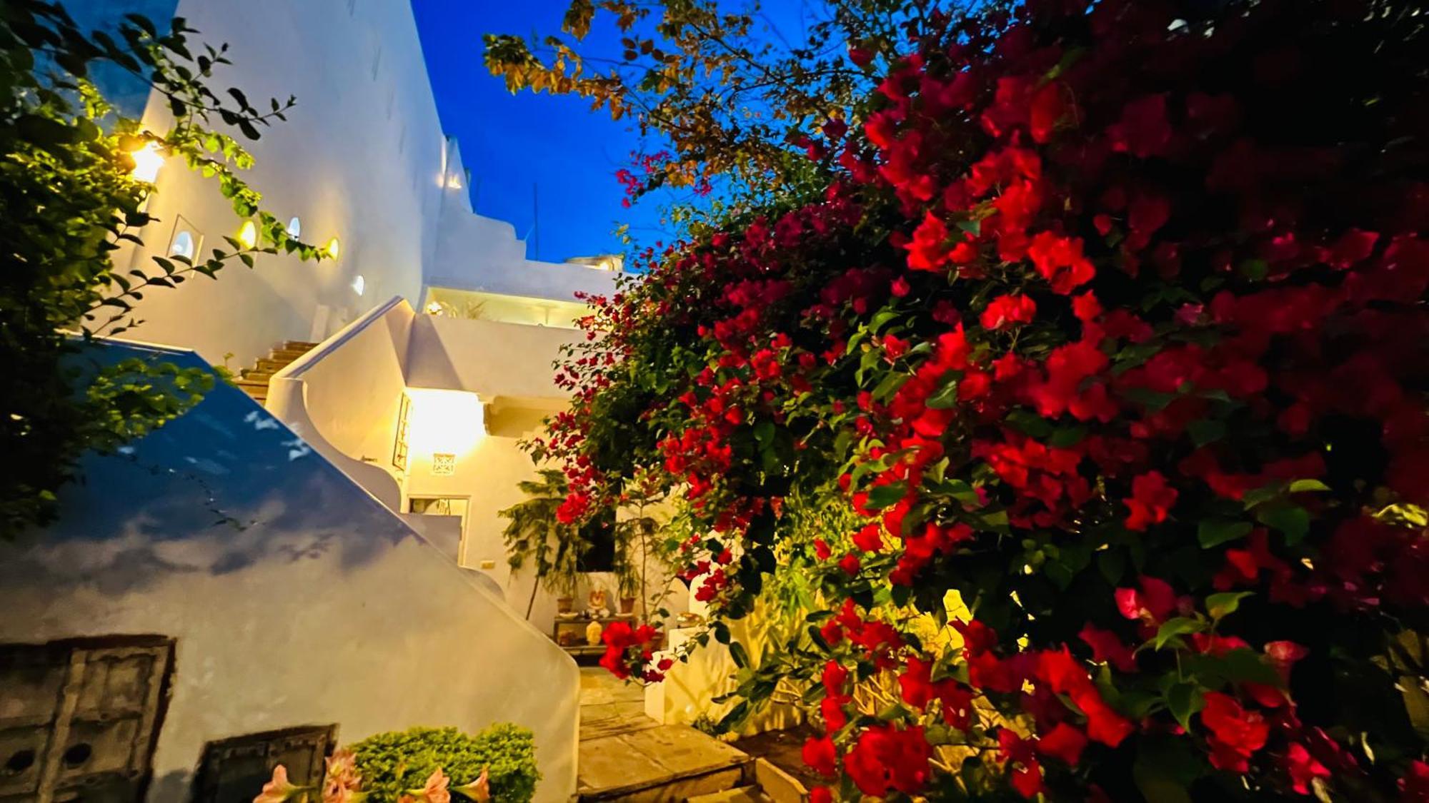 Guest house Mosaics 3*