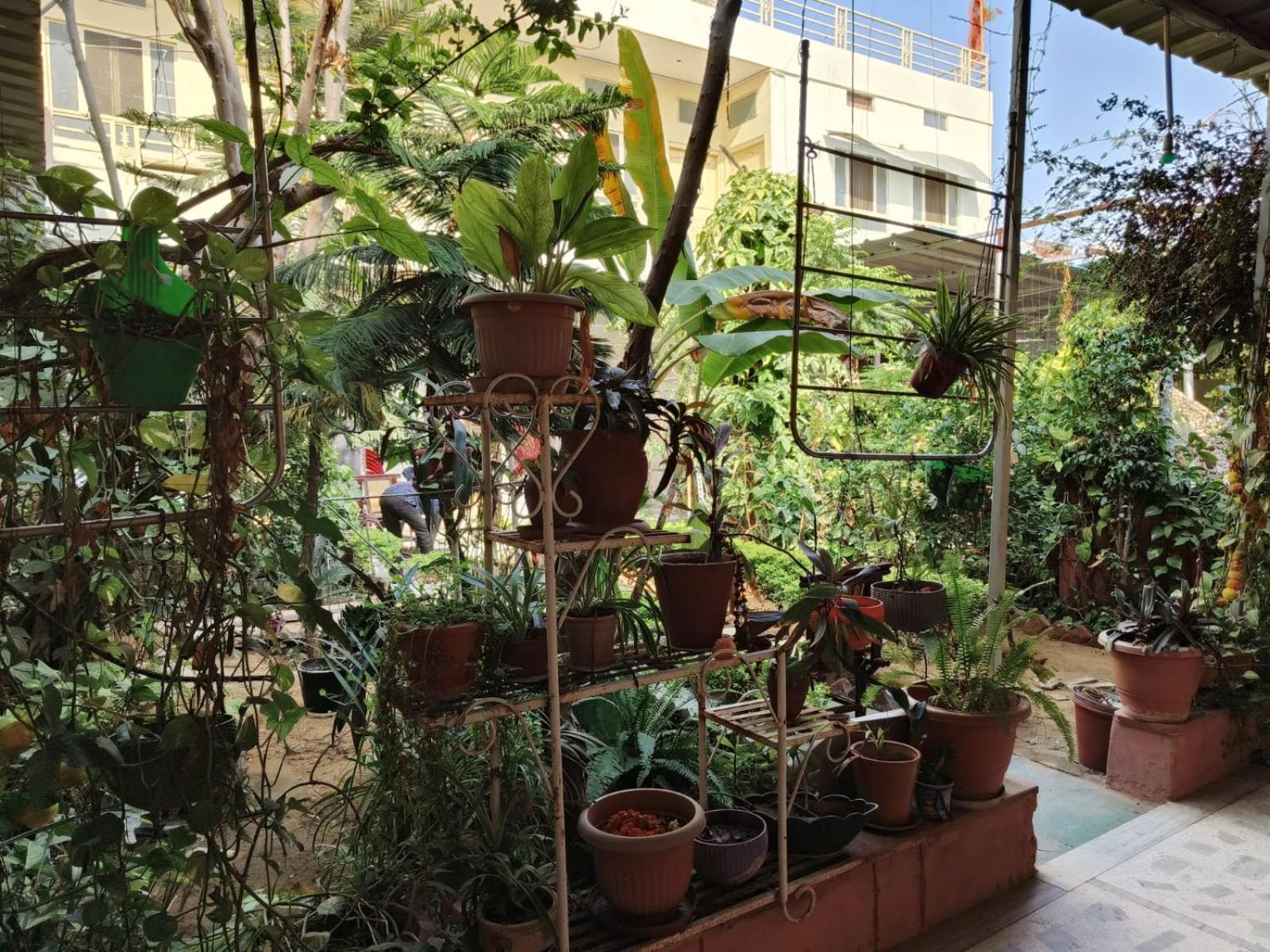 Hotel Urmil Basant