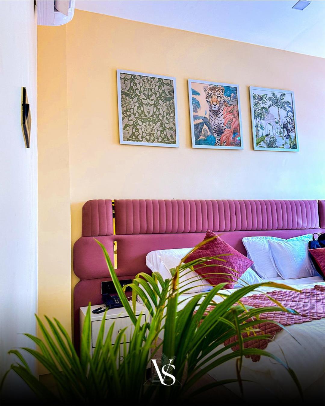 The Velvet Hotel Jaipur