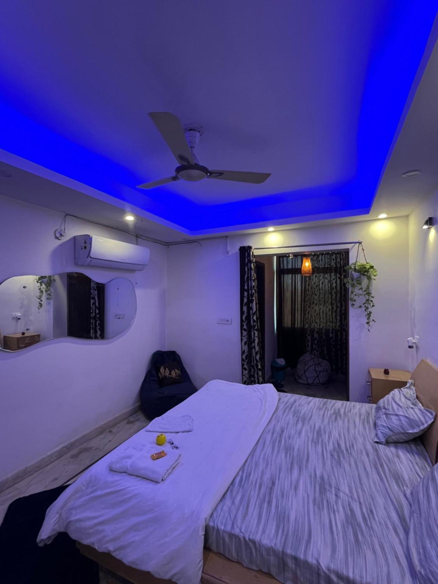 Area 369 Jaipur