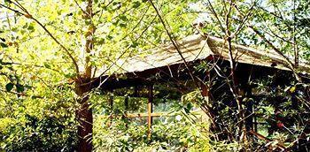 The Tree House Resort 4*