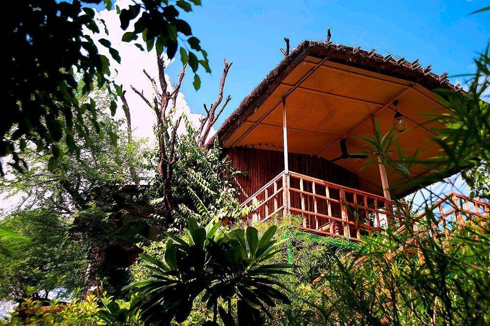 Resort The Tree House