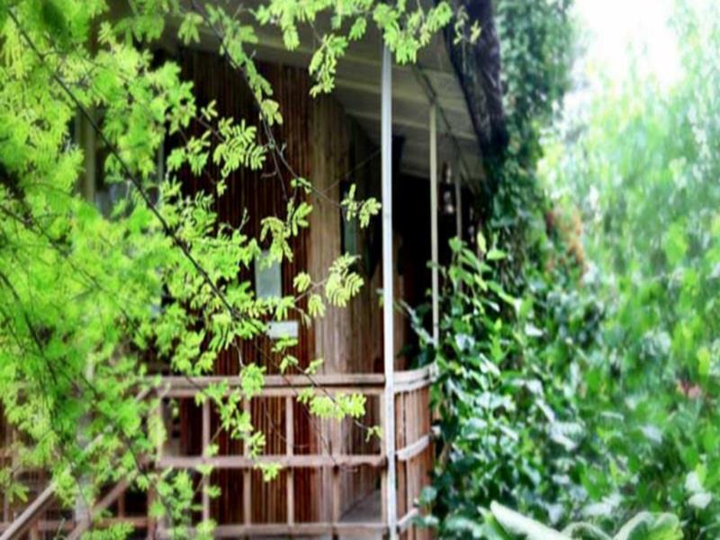 Resort The Tree House 4*