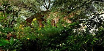 Resort The Tree House