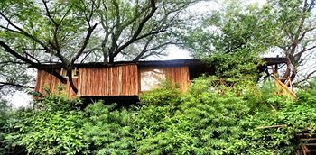 The Tree House Resort Jaipur