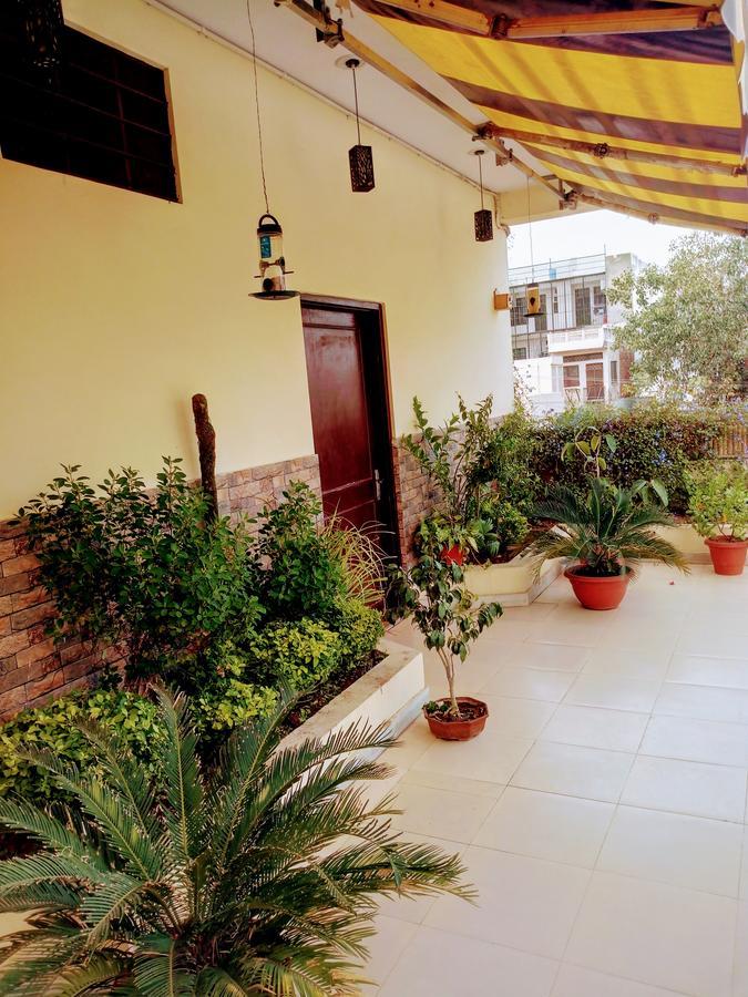 Lumb's Nest * Jaipur